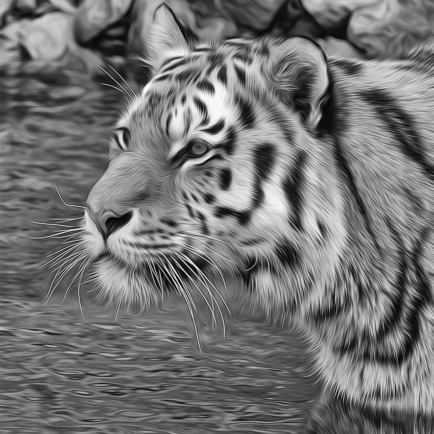 112 Tiere Zoo wuppertal Öl DDB_5482-1.jpg